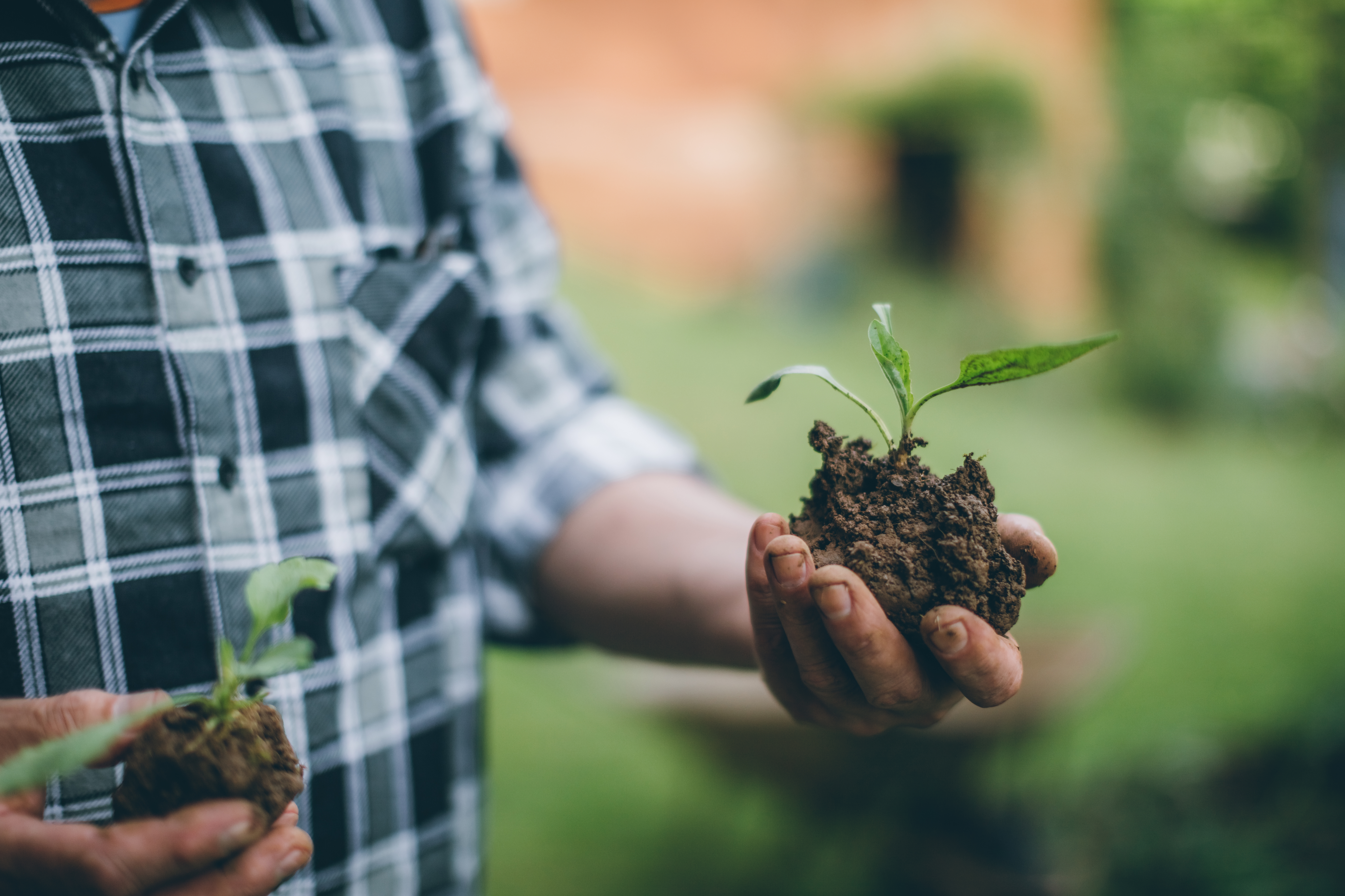 Managing Mallet Finger