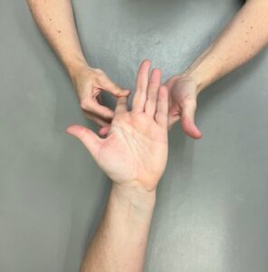 Demonstration of extrinsic long flexor stretch